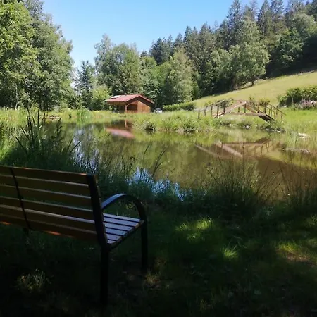 Pres De Gerardmer Zone Natura 2000 * Le Tholy