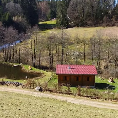Chalet Pres De Gerardmer Zone Natura 2000