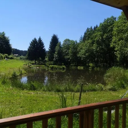 Pres De Gerardmer Zone Natura 2000 Chalet *