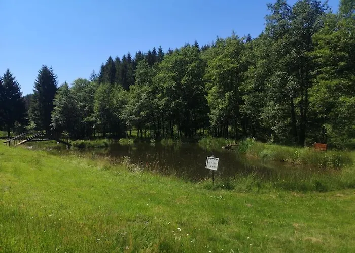 Pres De Gerardmer Zone Natura 2000 Domek alpejski Le Tholy