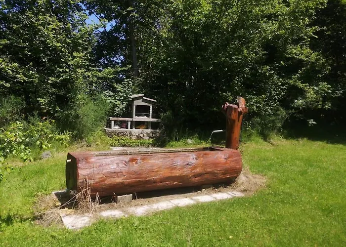 Pres De Gerardmer Zone Natura 2000 Le Tholy